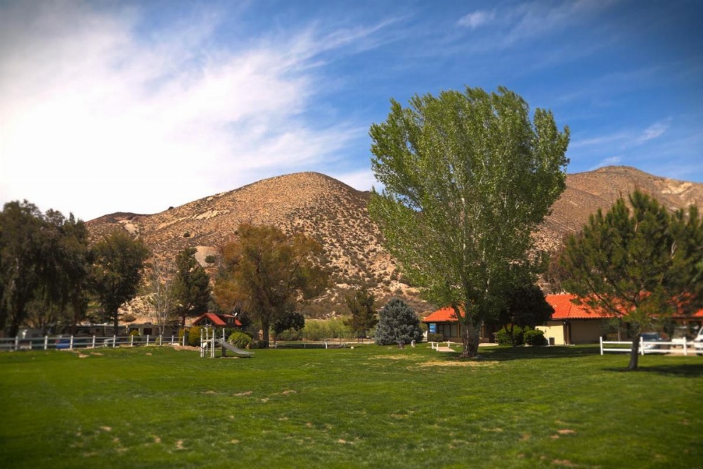 Soledad Canyon Cottage 2